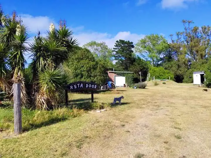 Foto de portada de Complejo Retadoor